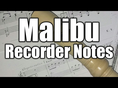 Malibu-Recorder Notes | Miley Cyrus