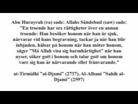 Detta lärde Muhammed- Gott Uppförande