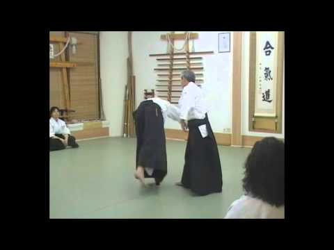 Shirakawa Katsutoshi sensei Kan-gei-ko in Greece【Aikido Kobukan】