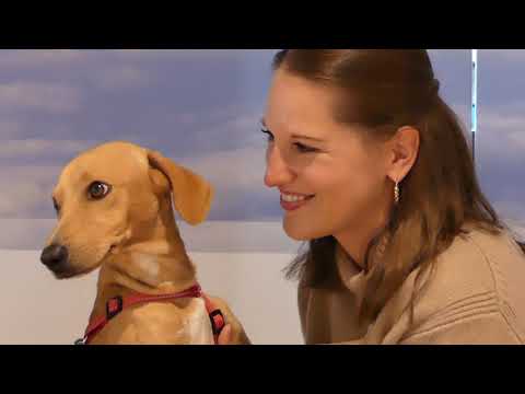 Ankunft in Hamburg am 22.10.2023