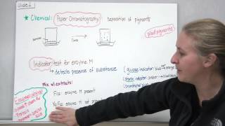 Relationships and Biodiversity