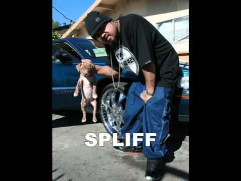 Snippets - (Money N Muscle Ent)