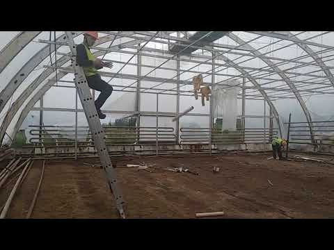 download lagu mp3 mp4 ваав, download lagu ваав gratis, unduh video klip ваав