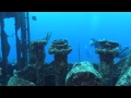 Diving In Bermuda 2014 With Blue Water Divers