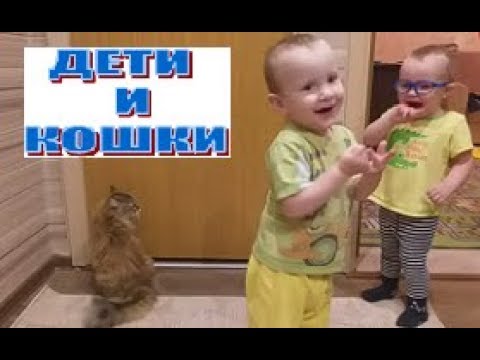 Дети и животные  | Дети и кошки | Baby and cat