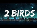 mike. - 2 birds (Lyrics) |15min