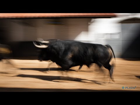 SORTEO | Puerto San Lorenzo, La Ventana y Valdefresno
