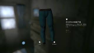 リアルなオーロラ見てみたい