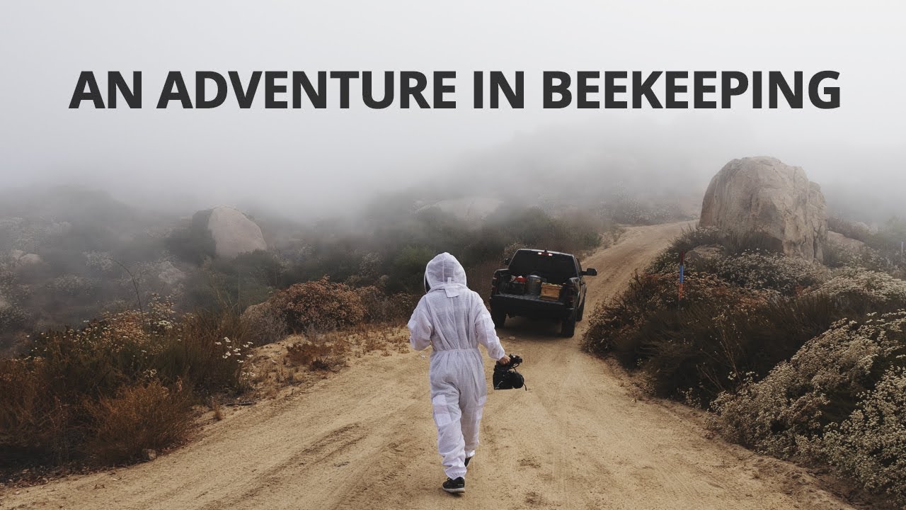 The 11 Best Documentaries About Beekeeping