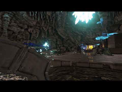 Ark Suicide Command