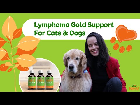 Lymphoma Gold Support Kit For Cats & Dogs