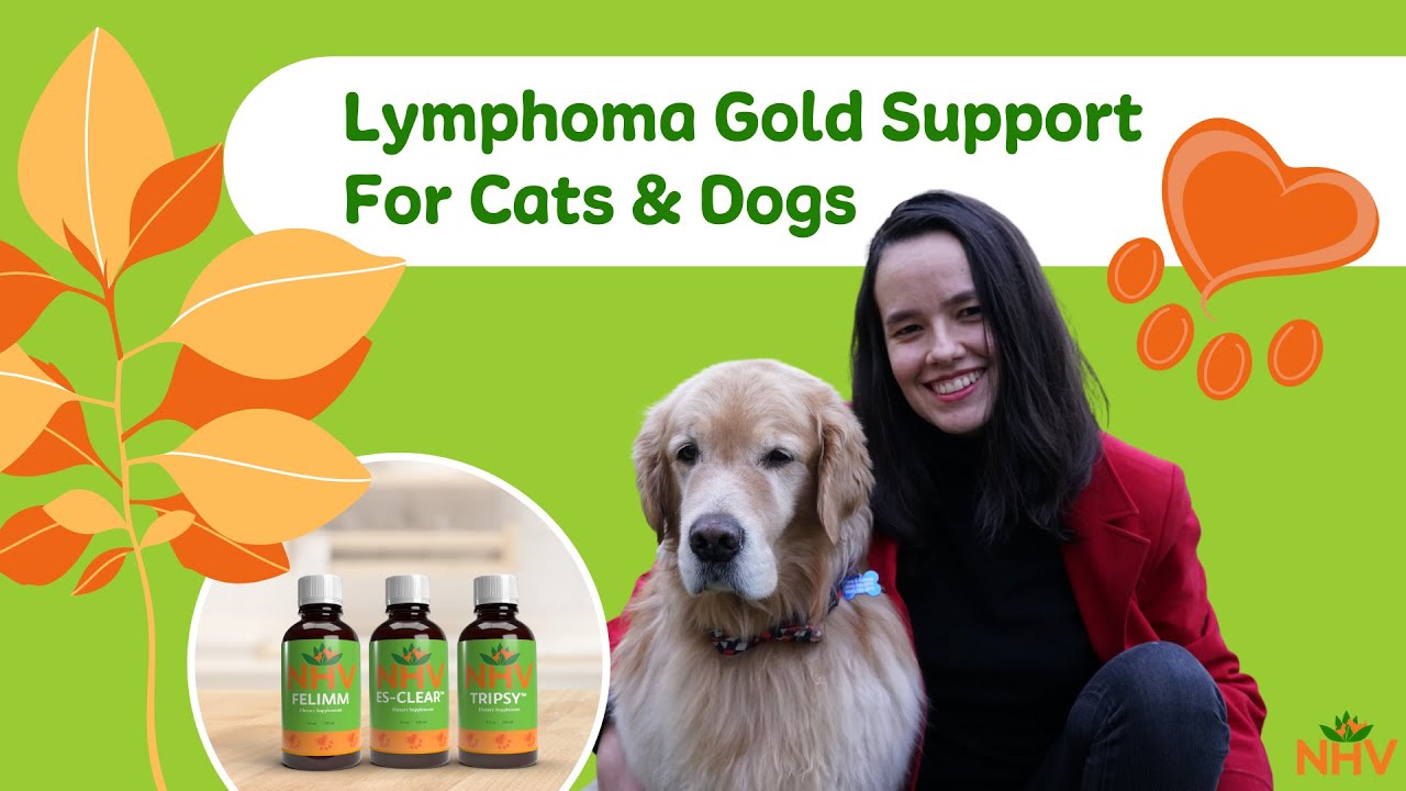 Lymphoma Gold Support Kit For Cats & Dogs