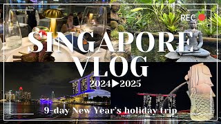 【年末年始シンガポールVlog前編】必見!年越しシンガポールの過ごし方|1泊2日でマレーシアやインドネシアにも気軽に行けちゃう!?とにかくグルメ堪能と遊び尽くす年末年始
