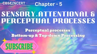 Class 11 psychology chapter 5 | Processing approaches in perception | Top-down process | CBSE |