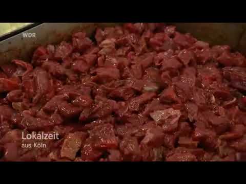 WDR Lokalzeit Puszta-Hütte Köln