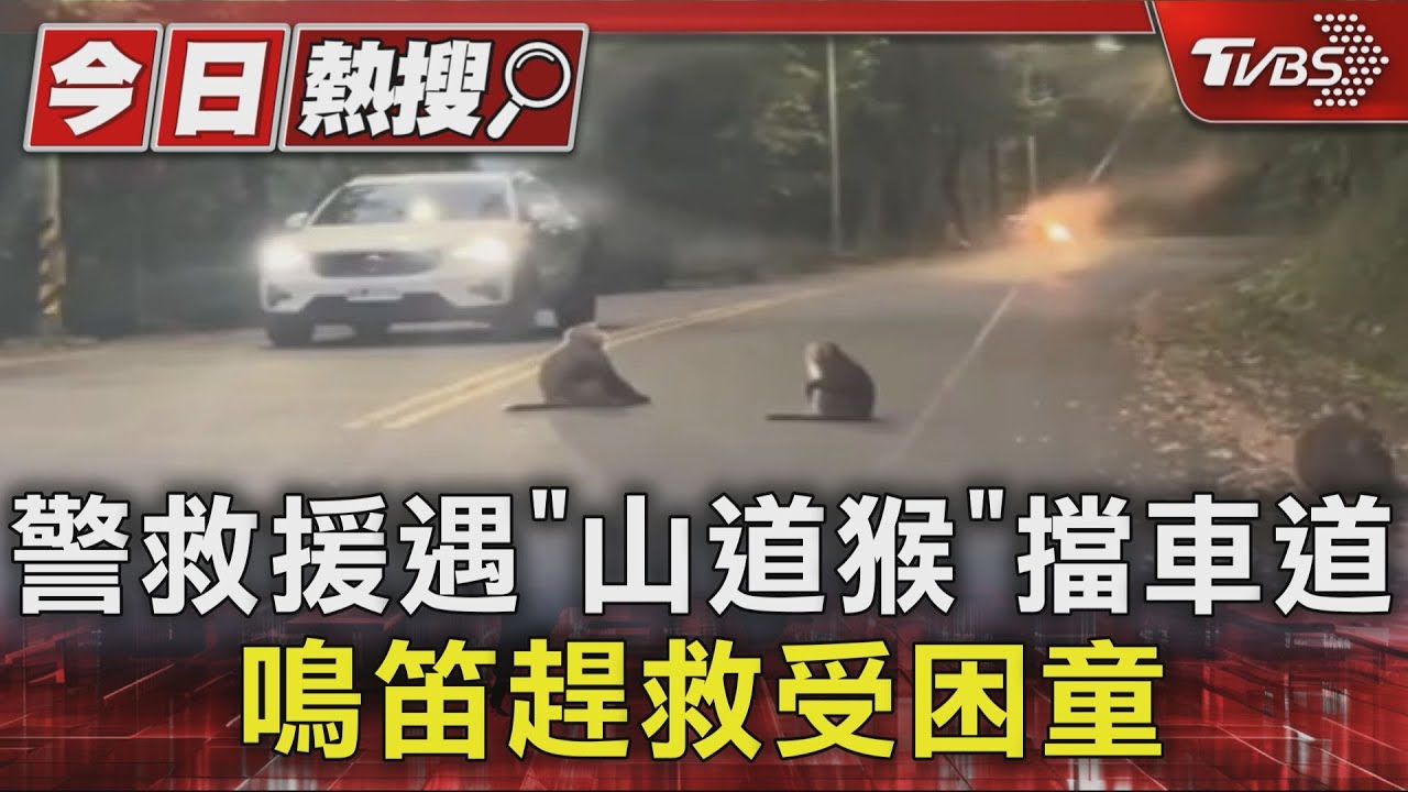 警救援遇「山道猴」擋車道 鳴笛趕救受困童