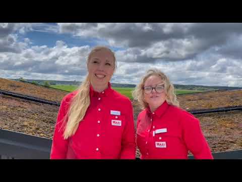 Gnista besöker: Upplands Honung