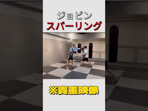 ジョビンのボクシングスパーリング映像