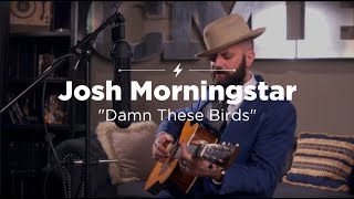 Josh Morningstar "Damn These Birds" | CME Artist Sessions