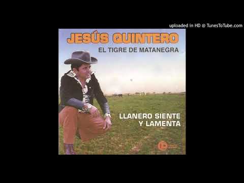 02. Picadillo Veguero - Jesus Quintero