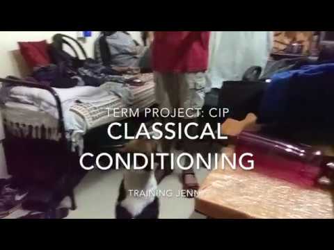 Training Jenny: Coursework for CIP,  Autumn 2017