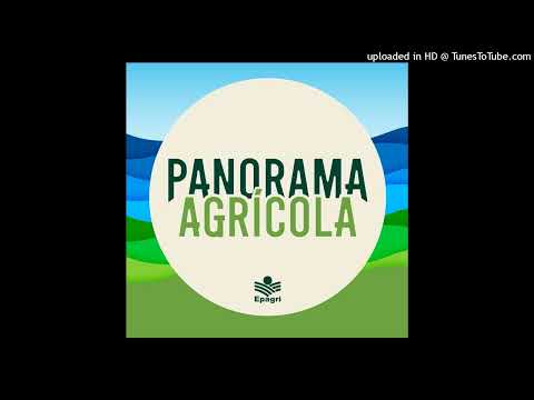 15 de outubro - Queijo de ovelha em Petrolândia 2025