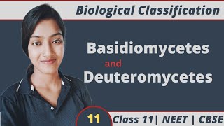 Biological Classification 11| Basidiomycetes | Deuteromycetes | Class 11 | NEET | CBSE | Suman Yadav