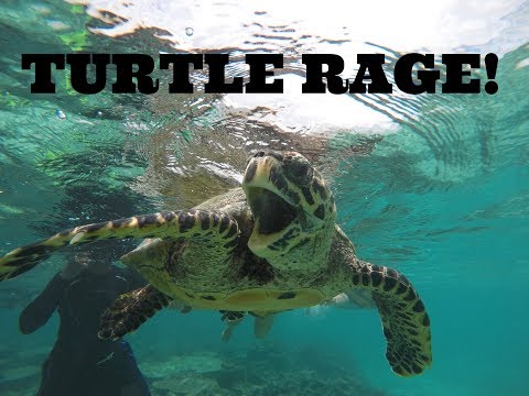 WonderLand MALDIVES│TRAILER