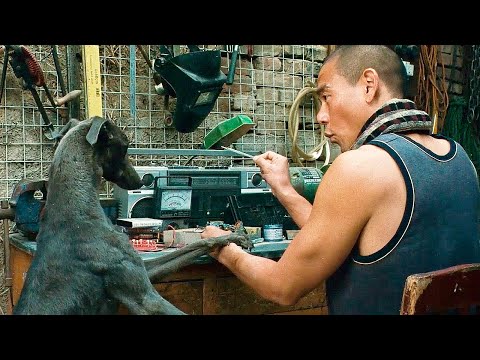 Трейлеры Чёрный пёс