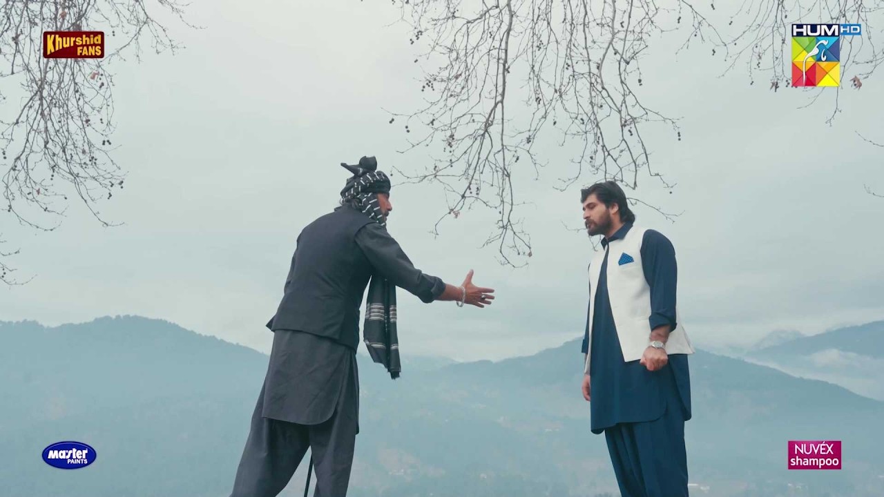 Dushman Ka Dushman Dost Hota Hai..! #zanjeerain #sajalaly