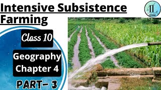Intensive Subsistence Farming | Agriculture | Class 10 Geography Chapter 4 | NCERT UPSC