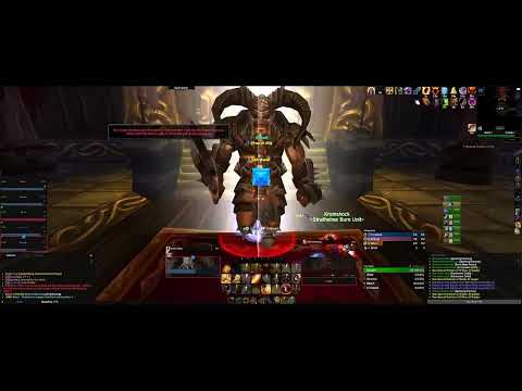 World of Warcraft Classic - Heroic Utgarde Pinnacle - Prot Paladin PoV