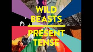 Wild Beasts - Pregnant Pause