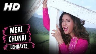 Meri Chunri Lehrayee  Alka Yagnik  Cheetah 1994 HD