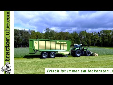 Frischgras füttern für 200 Milchkühe mit Krone MX 370  GD / zero grazing