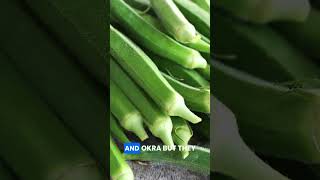 Download lagu 5 Makanan yang Tak Bisa Ditolak Burung Kenari! #telur #hewanpeliharaan #burung #fakta mp3