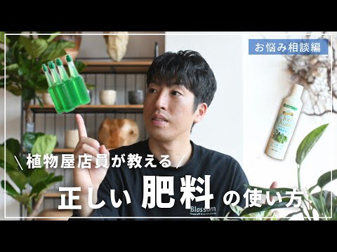 冬にバラの茂みに肥料を与える 冬に観賞用低木に肥料を与える