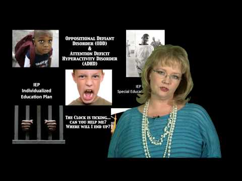 3MT Presentations Terri Hovious