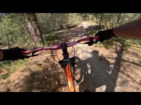 TRAIL COUSIN'S  (SEIX SOY) ROCKMACHINE BLIZZ 40/29