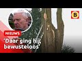 Boomverzorger viel meters naar beneden | Omroep Brabant