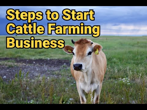 , title : 'Cattle Farming Business Plan / How to Start a Cattle Farm'