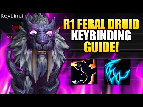 Rank 1 Feral Druid War Within Keybinding Guide!