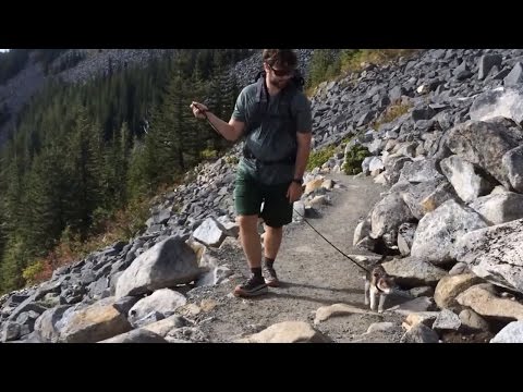 Blind cat goes on hikes with her owner.