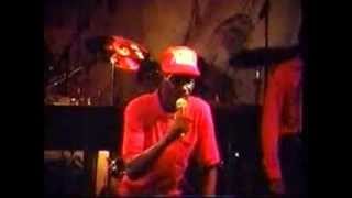 Zandolie - Secret Whip