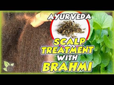 The many benefits of BRAHMI for your hair (+ Science and Recipe)