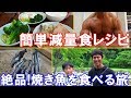 ボディビル大会に向けた減量12週目の食事メニュー&板取キャンプ場で釣りと焼き魚を堪能【親バカ日記】