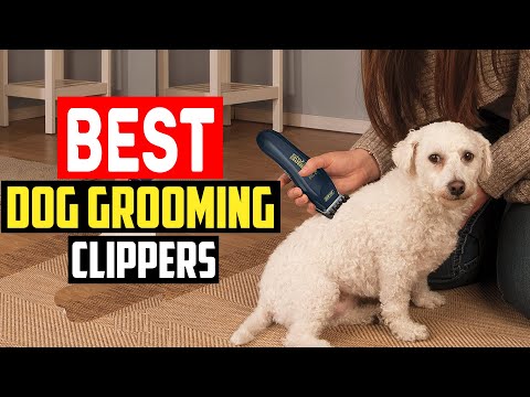 ✅Top 5 Best Dog Grooming Clippers in 2023 Reviews &...