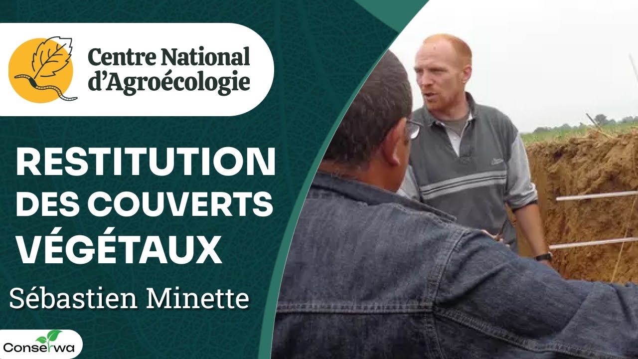 Les couverts végétaux : retour sur investissement avec la méthode MERCI - Sébastien MINETTE - CNA