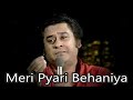 Meri Pyari Behaniya Instrumental By Rohtas