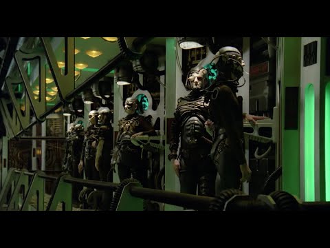 How the Borg Probably Got Started